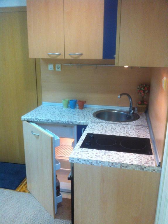 Gogol 2Br Apartment ソフィア 部屋 写真